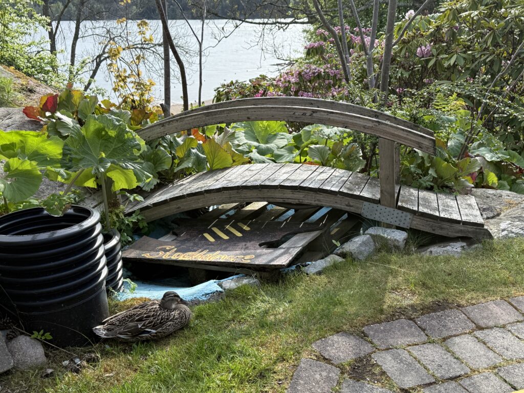 Kanaans bangolf 40 års jubileum